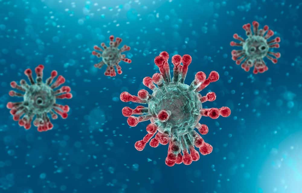 Coronavirus Continues to Affect World Markets and Shipping