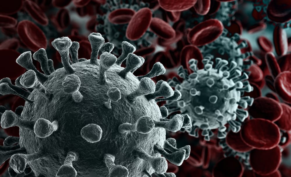 Coronavirus: Latest Updates on Shipping and Logistics