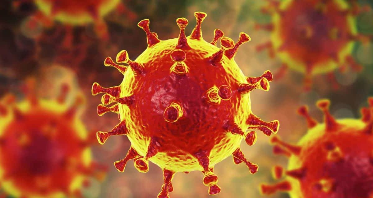 The Potential Effects of Coronavirus on Shipping and Overall Transpacific Trade