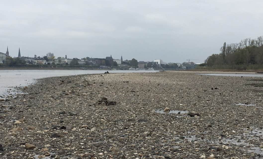 Rhine’s Low Water Levels Disrupted Shipping in Europe