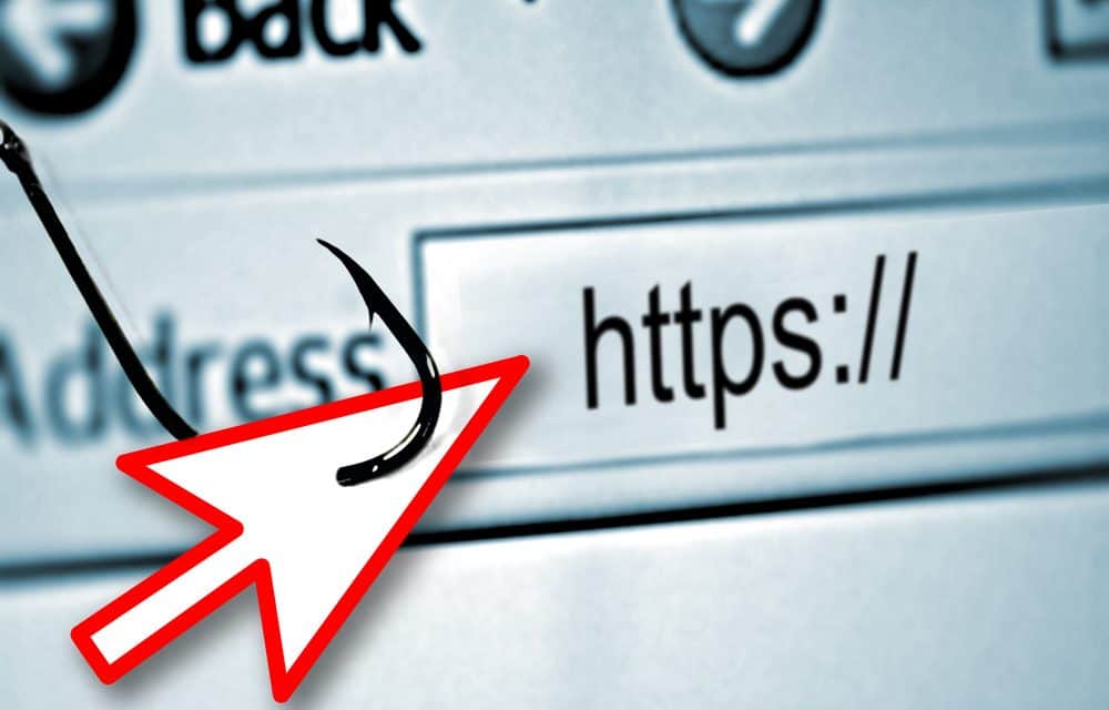 How to Avoid Fake Shipping Line Websites and Freight Forwarding Scams